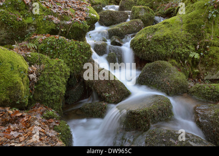 Gaishöll Waterfalls, near Sasbachwalden, Black Forest, Baden-Württemberg, Germany Stock Photo