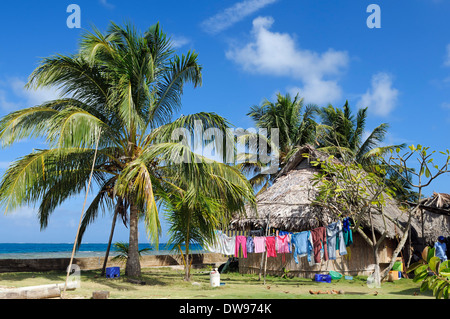 Hut under palm trees, village of the Kuna people, Nalunega, San Blas Islands, Panama, Caribbean Stock Photo