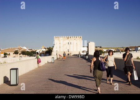 Roman bridge, at the back the Calahorra tower Stock Photo