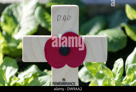 Wooden cross with poppy on Stock Photo