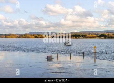 Floods on the field at Pulborough, West Sussex, UK Stock Photo