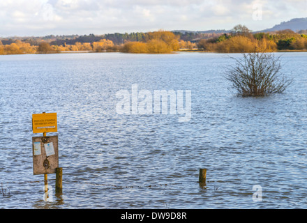 Floods on the field at Pulborough, West Sussex, UK Stock Photo