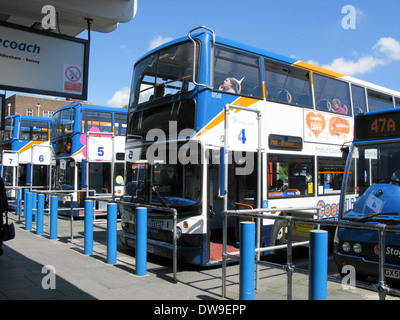 Buses lined up at Chichester bus station Chichester West Sussex UK Stock Photo