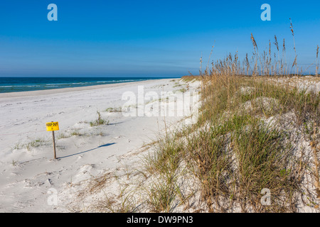Sign warns to keep out of dune restoration area an beach at Gulf Shores, Alabama Stock Photo