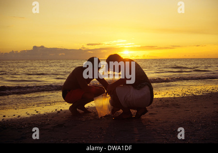 Gathering seashells on the shores of Sanibel and Captiva Islands, Florida, USA Stock Photo