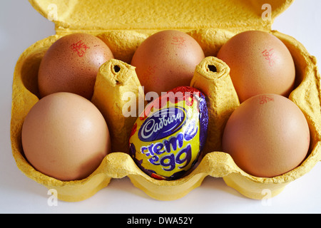 carton of free range eggs with one replaced by a Cadbury creme egg set on white background concept different, standing out from the crowd, odd one out Stock Photo