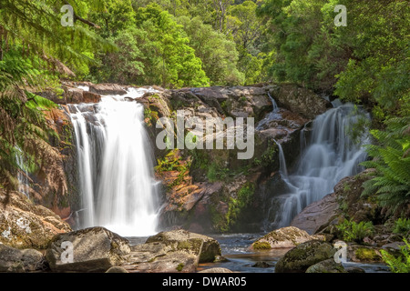 Halls Falls, The Blue Tier Forest Reserve, near St Helen's, Tasmania,  Australia Stock Photo