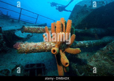 Shipwreck of the Keith Tibbetts. Stock Photo
