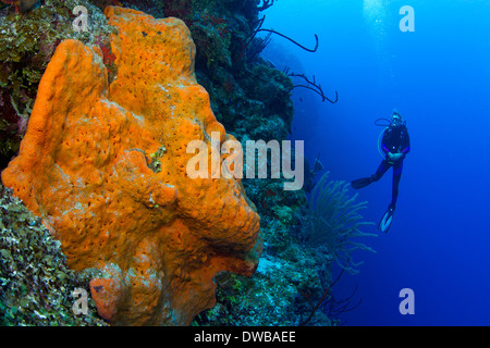 Diver on wall. Stock Photo