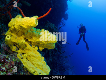 Diver on wall. Stock Photo
