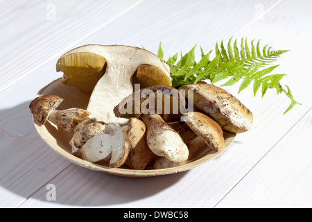 Yellow boletuses (Boletus edulis) and fern leaves on a plate on wooden table Stock Photo