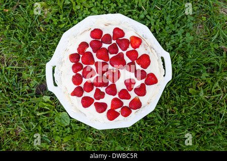strawberry birthdaycake frm above on grass Stock Photo