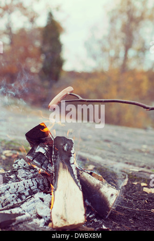 Sausage cooking on campfire in forest Stock Photo