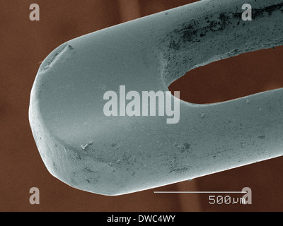 Coloured SEM of needle Stock Photo