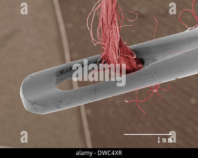 Coloured SEM of needle and thread Stock Photo
