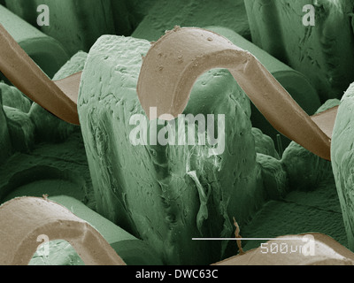 Coloured SEM of computer chip Stock Photo