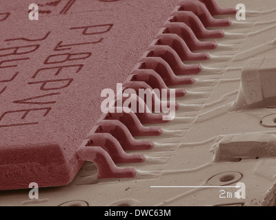 Coloured SEM of computer chip Stock Photo