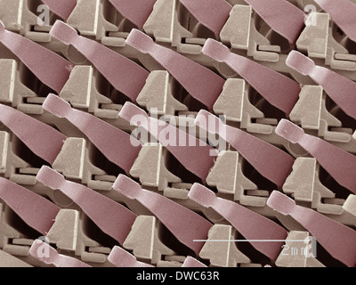 Coloured SEM of computer chip Stock Photo