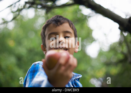 Male toddler in the garden holding an apple Stock Photo