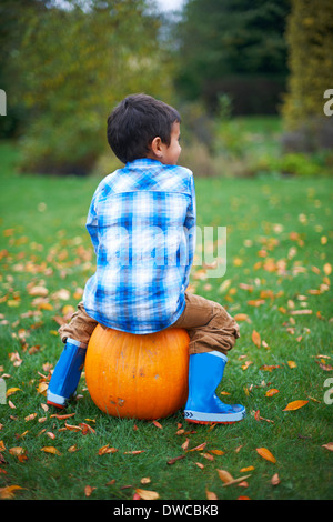 Male toddler in the garden sitting on pumpkin Stock Photo