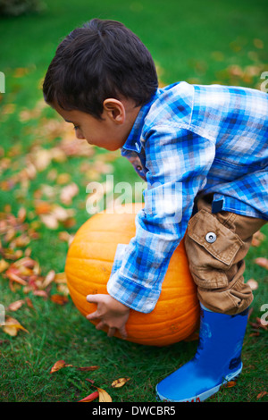 Male toddler in the garden picking up pumpkin Stock Photo