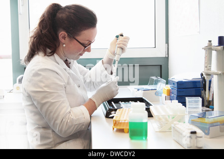 Female scientist working with samples Stock Photo