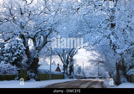 Winter scene of snow covered lane with shafts of sunlight coming through trees. Stock Photo