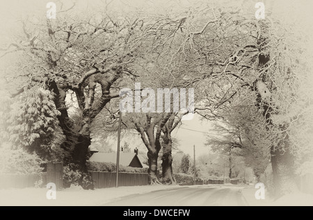 Winter scene of snow covered lane with shafts of sunlight coming through trees. Stock Photo