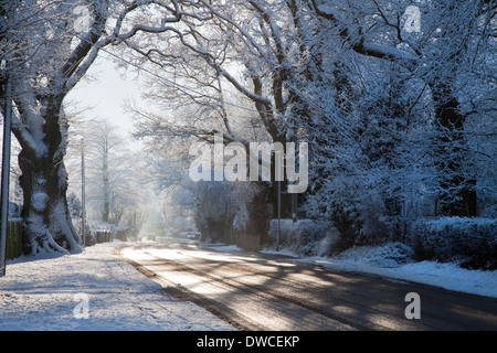 Winter scene of snow covered lane with shafts of sunlight coming through trees. Stock Photo