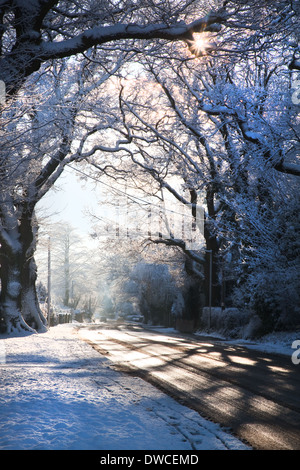 Winter scene of snow covered lane with shafts of sunlight coming through trees. Stock Photo