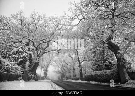 Winter scene of snow covered lane with shafts of sunlight coming through trees. Stock Photo