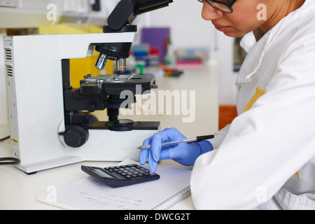 Female scientist using calculator Stock Photo