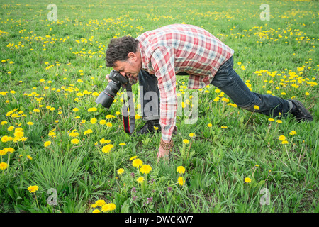 Photographer focusing closely on object in grass Stock Photo