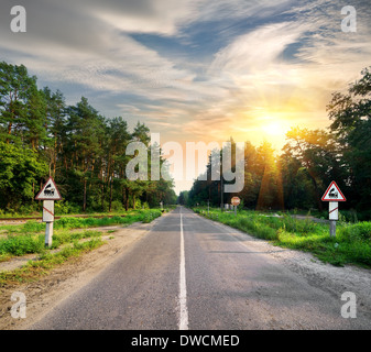 Signs on the road in the forest Stock Photo