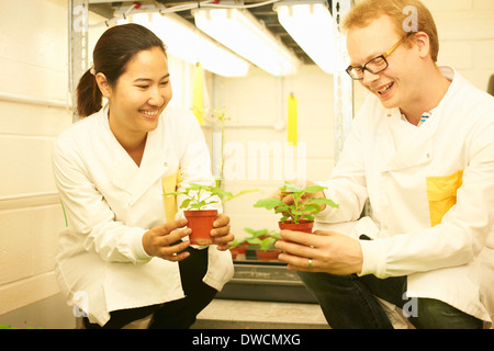 Two scientists comparing plant samples in lab Stock Photo