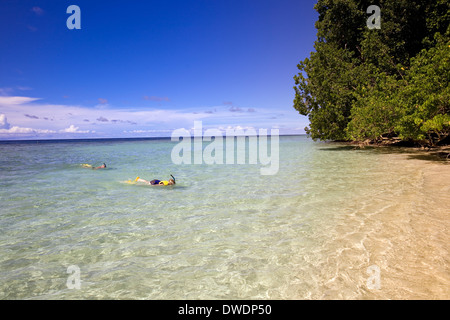 Snorkeling off Mateana Island, Marovo Lagoon, Solomon Islands, South Pacific Stock Photo