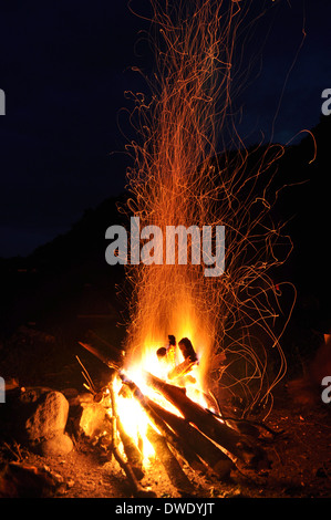 Campfire, bonfire in the forest Stock Photo