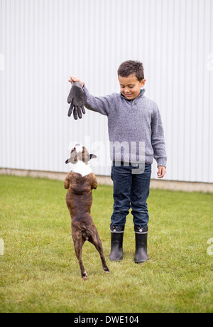 Boy playing with dog in garden Stock Photo