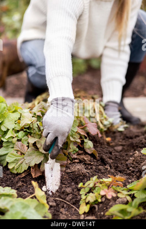 Low section of woman planting in garden Stock Photo