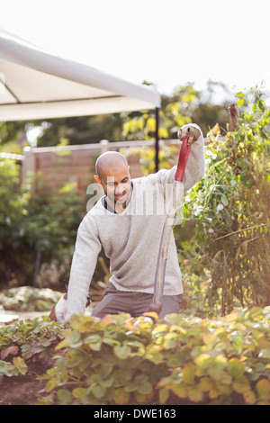 Mature man gardening at yard Stock Photo