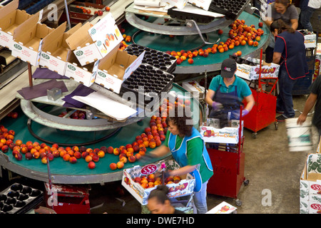 Workers sort peaches at the Symms Fruit Ranch packing facility near Sunny Slope, Idaho, USA. Stock Photo