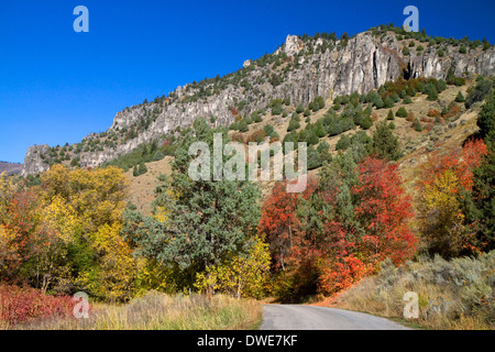 The Bear River Mountains in Logan Canyon, Utah, USA. Stock Photo