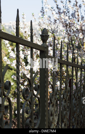 Black painted iron fence mounted at a small wall of brickstones . Stock Photo