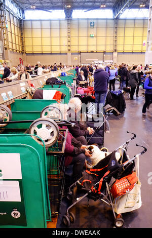 Birmingham, UK. 6th March 2014. Crufts 2014 dog show in NEC national exhibition centre Birmingham UK England day one of the  premier dog show and competition. Credit:  Paul Thompson Live News /Alamy Live News Stock Photo