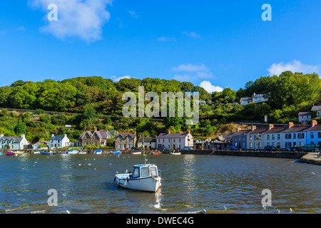 Boats in the harbour in the seaside village of Lower Fishguard, Pembrokeshire, Wales, UK Stock Photo