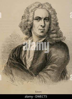 Carl Linnaeus (1707-1778). Swedish physician and botanist. Engraving by G. Neumann in Our Century, 1883. Stock Photo