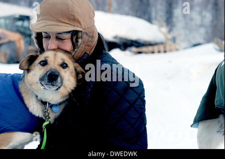 Takotna, AK, USA. 6th Mar, 2014. BOB HALLINEN / Anchorage Daily News ...