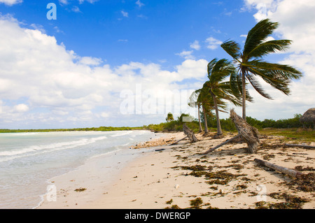 Cayo Las Brujas, Remedios Stock Photo