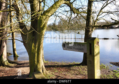 River Thames in flood at Hurley - Berkshire -  Thames Path walk  sign pointing way across flooded fields. Winter sunlight Stock Photo