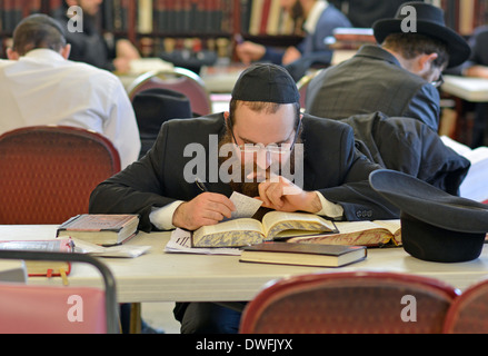 An orthodox rabbi studying Jewish law in a synagogue in Crown Heights, Brooklyn, New York Stock Photo